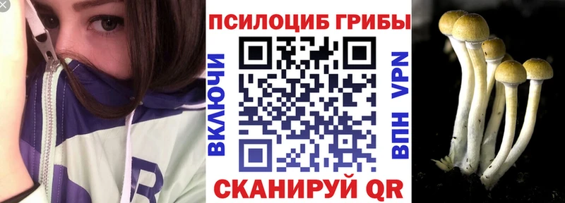Галлюциногенные грибы Cubensis  Долгопрудный 